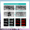 Plasmapp Actilink Plasma Regenerative Activator