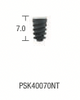 PSK Standard Conical Connection Implant: Regular Double Thread Normo