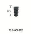 PSK Standard Conical Connection Implant: Regular Double Thread Normo
