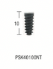PSK Standard Conical Connection Implant: Regular Double Thread Normo