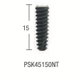 PSK Standard Conical Connection Implant: Regular Double Thread Normo