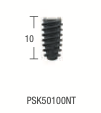 PSK Standard Conical Connection Implant: Regular Double Thread Normo