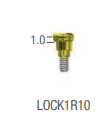 OXY LOC ABUTMENT