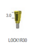 OXY LOC ABUTMENT