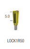 OXY LOC ABUTMENT