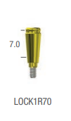 OXY LOC ABUTMENT