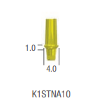 TEMPORARY ABUTMENT