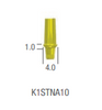 TEMPORARY ABUTMENT