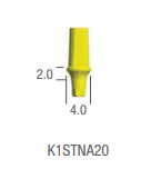TEMPORARY ABUTMENT