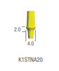 TEMPORARY ABUTMENT
