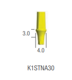 TEMPORARY ABUTMENT