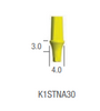 TEMPORARY ABUTMENT