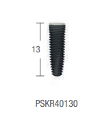 IMPLANT PSK REGULAR CORE STANDARD: Micro Thread