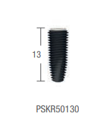 IMPLANT PSK REGULAR CORE STANDARD: Micro Thread