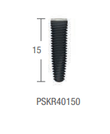 IMPLANT PSK REGULAR CORE STANDARD: Micro Thread