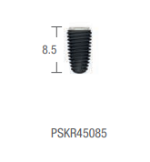 IMPLANT PSK REGULAR CORE STANDARD: Micro Thread