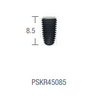 IMPLANT PSK REGULAR CORE STANDARD: Micro Thread